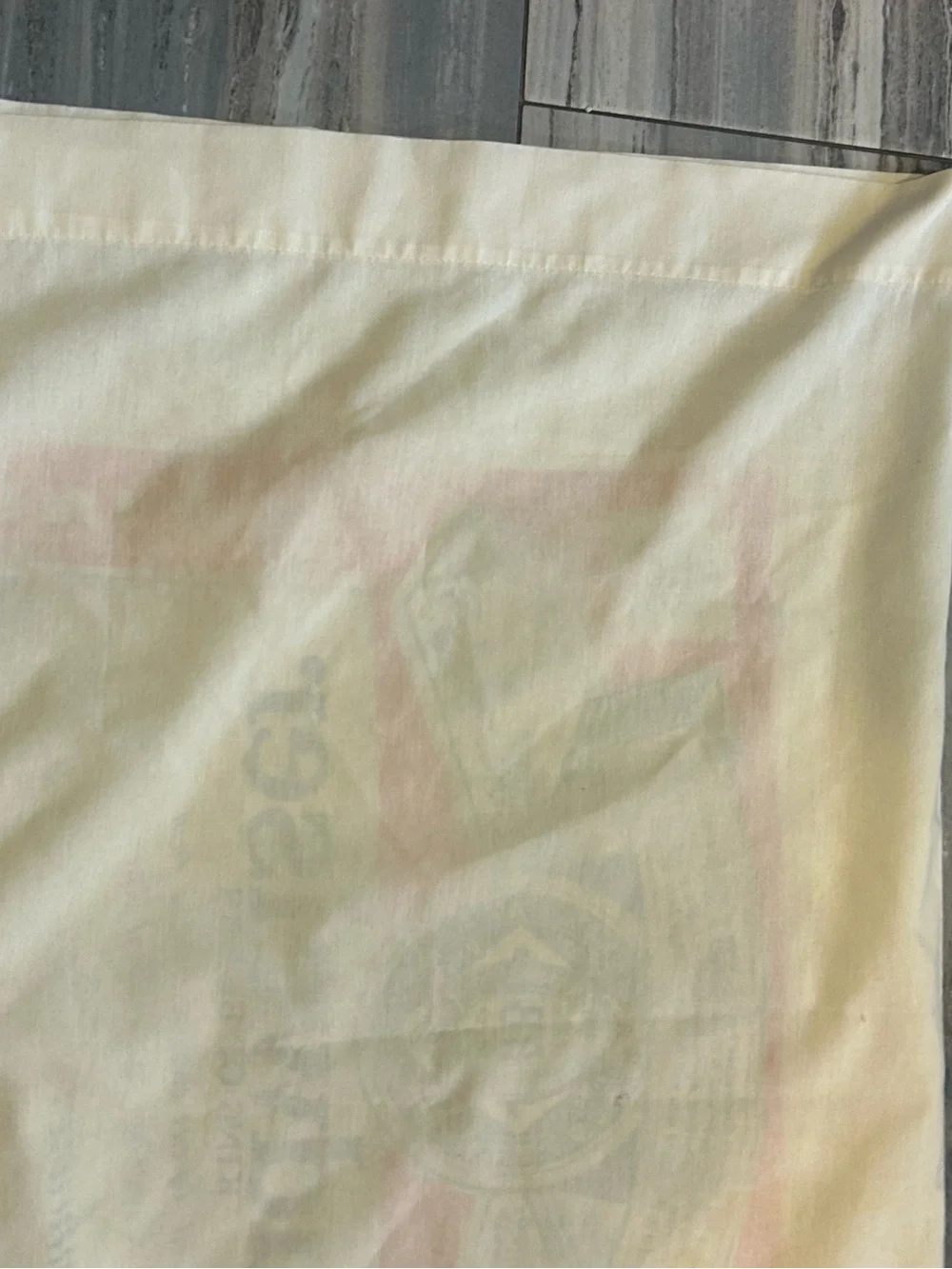 Sears decorative pillow